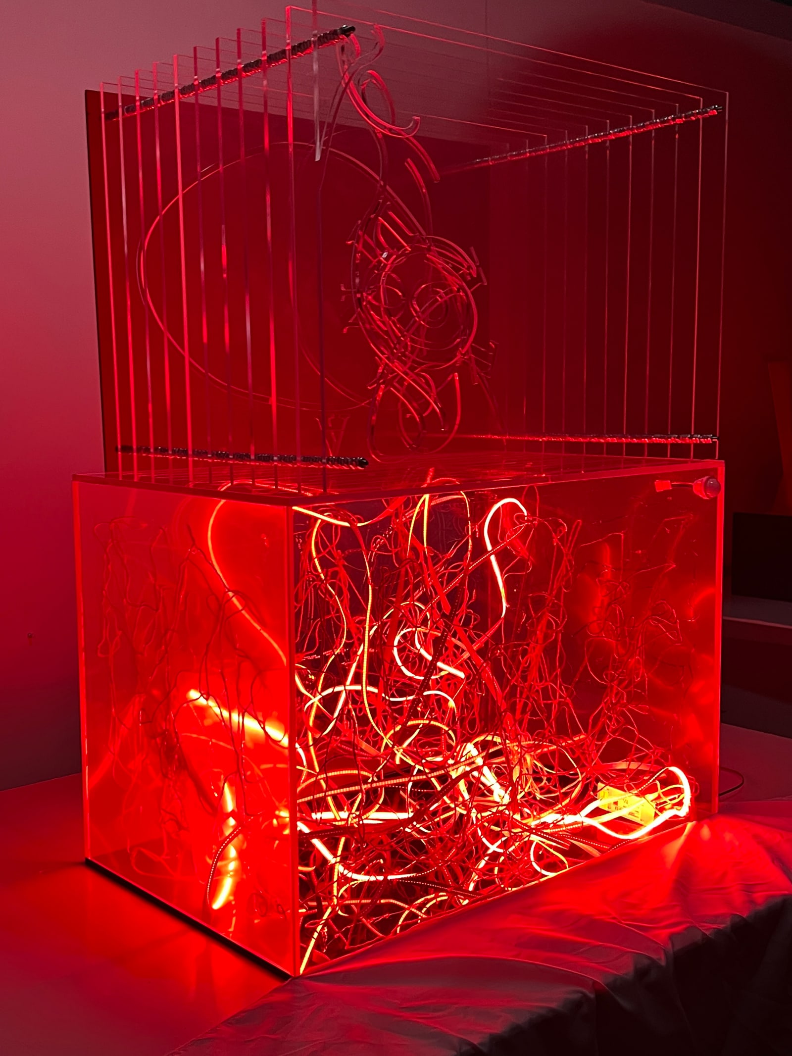 Wide Acne installation view
