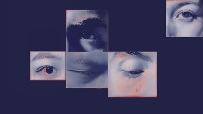 Video still from The Spectator